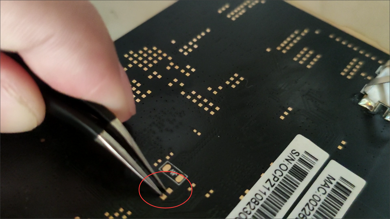 玩客云刷第三方固件实现博客+QB下载+TR下载+同步+文件管理