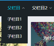 帝国cms后台建立子栏目父栏目技巧以及方法（视频）