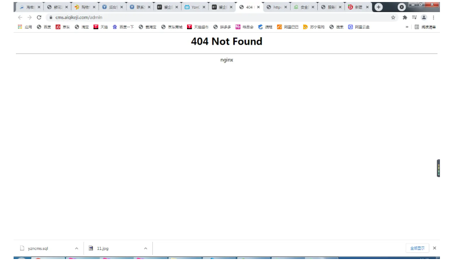 宝塔面板帝国cms全站伪静态后台输入admin显示404/nginx伪静态排除指定目录伪静态规则设置
